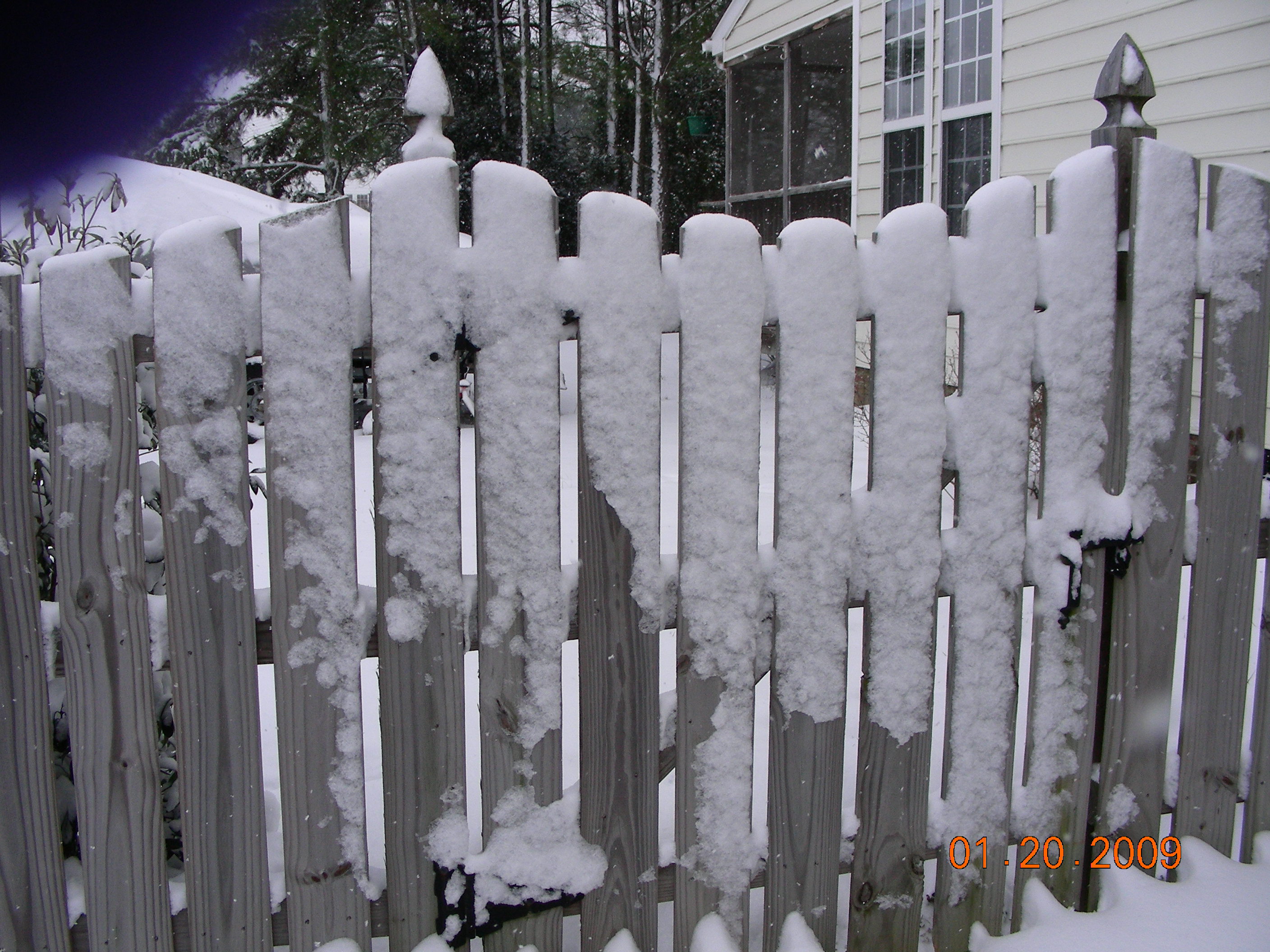 ./2009/January Snow/DSCN4795.JPG
